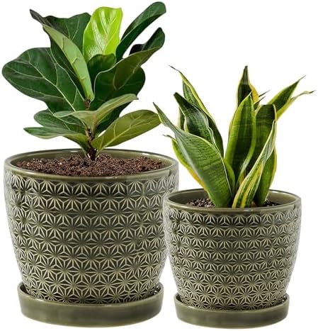 Plant Pots, Flower Pots, Planters for Indoor Plants(6.5+5.5inch), Flower Pots for Indoor Plant with Drainage Hole and Saucer, Ceramic Pots for Plants with Hole Mesh Pad,Reactive Glaze Green by Swkien