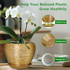 Ceramicfor Indoor Plant Pot 6 Inch - Ceramic Pot for Plants Outdoor Planter with Drainage Hole and Saucer Round Decorative Planter Modern Flower Pot for Home Decor Gold - Image 6