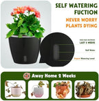 Self-Watering Pots for Indoor Plants, 16-Pack Self Watering Planter with Drainage Holes, Small African Violet Pots with Water Indicator, 10-Pack 5''/6-Pack 6.7'' Orchid Pot, Black - Image 3