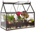 D'Eco Glass Greenhouse Plant Terrarium, Centerpiece & Wedding Letterbox by DecoHousewares-InnovativeSolutionsforInnovativeHomes