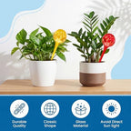 Plant Watering Globes, 6pcs Automatic Glass Watering Bulbs, Decorative Garden Watering Glass drip Ball with 6 Tags - Image 4