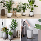 3 Pack Metal Heavy Duty Plant Caddy With Wheels 16 Inch, Round Plant Caddy Suitable For Outdoor and Indoor Mobile Flower Pots, Don't Worry About This Metal Product Getting Deformed or Damaged. - Image 6