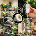 Clip on Grow Light, 40W LED Full Spectrum Bulb, 600W Equivalent - Image 2