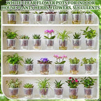 Self Watering Plant Pots, 4.3'', Transparent, 36 Pcs - Image 6