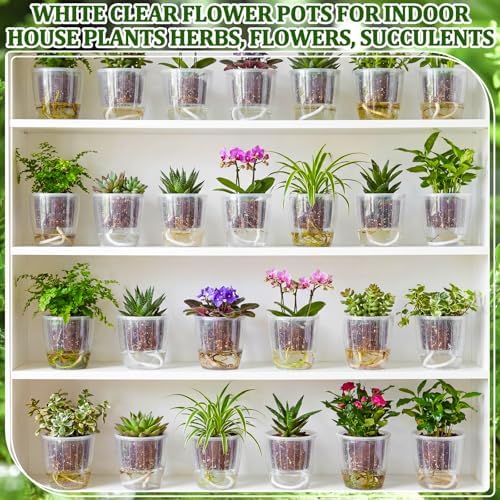 Self Watering Plant Pots, 4.3'', Transparent, 36 Pcs - Image 6