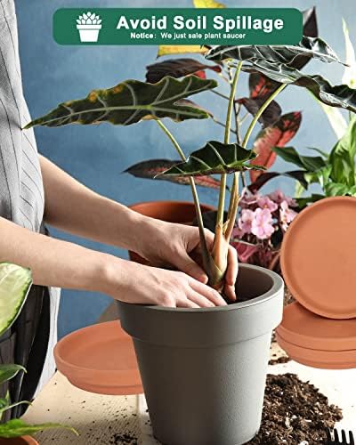 Large Ceramic Plant Saucer and Small Terracotta Pot Plant Saucer - 4 Pcs 7 Inch White Ceramic Plant Tray and 4 pcs 8 Inch Terracotta Plant Saucer for 4,6,7 Inch Plant Pots with Drainage Hole and Gre - Image 5