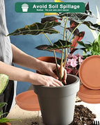 Large Ceramic Plant Saucer and Small Terracotta Pot Plant Saucer - 4 Pcs 7 Inch White Ceramic Plant Tray and 4 pcs 8 Inch Terracotta Plant Saucer for 4,6,7 Inch Plant Pots with Drainage Hole and Gre - Image 5