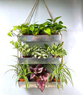 LaLaGreen Hanging Wall Planter (16 in, 3 Tier) Black Metal Succulent Herb by L%C3%A1L%C3%A1Green