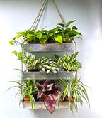 LaLaGreen Hanging Wall Planter (16 in, 3 Tier) Black Metal Succulent Herb by L%C3%A1L%C3%A1Green