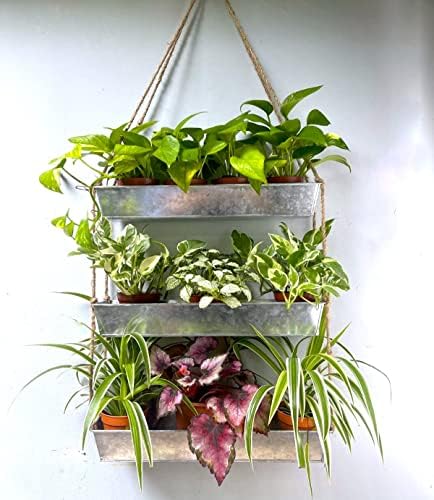 LaLaGreen Hanging Wall Planter (16 in, 3 Tier) Black Metal Succulent Herb by L%C3%A1L%C3%A1Green