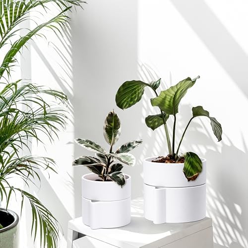 Phoenix Vine 8 Inch Self-Watering Planter Pot with Terracotta Insert, Deep Water Reservoir, and Ceramic-Alike BPA-Free Plastic Planter Pot for Plant, Modern Planter for Houseplants, White, 53-A-T-1 - Image 7