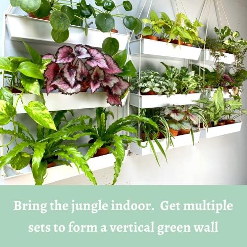 LaLaGreen Boho Wall Planter (16 in, 3 Tier) White Succulent Herb Garden - Image 3