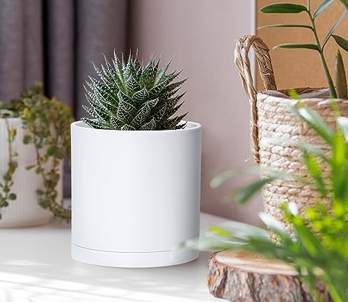 D'vine Dev 6-Pack White Plastic Planters with Saucers, 4 in, 74-Z-E-3 - Image 3