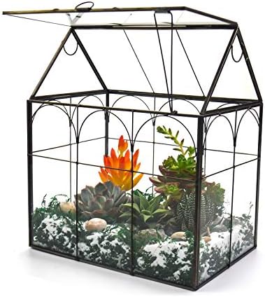 Large Tall Plant Greenhouse Terrarium Glass with Lid, 8.7"X5.9"X10.6" Inches Indoor Tabletop Orchid Succulent Cacti Terrarium Kit NA (House Black A) by Unknown