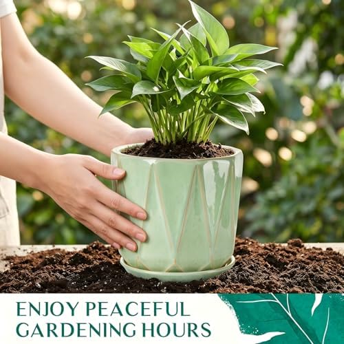 7.8 Inch Ceramic Plant Pot with Drainage Hole Mesh Net, Large Flower Pots for Indoor Plants with Saucer, Gardening Pots Outdoor (Crackle-Green) - Image 5