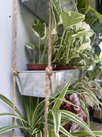 LaLaGreen Hanging Wall Planter (16 in, 3 Tier) Black Metal Succulent Herb - Image 3