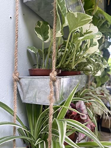 LaLaGreen Hanging Wall Planter (16 in, 3 Tier) Black Metal Succulent Herb - Image 3