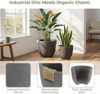 Large Tree Concrete Pot for Indoor, 13"&10" Modern Plant Pot for Home - Image 3