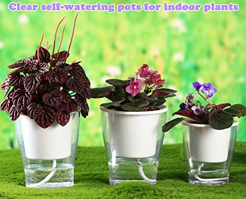 6 Pakcs Self-Watering Planters for Indoor Plants 7"/ 5.1"/ 4.3" Clear African Violet Pots Plastic Orchid Pots Wick Flower Pots, Large, Medium and Small Sizes, Home Decor Pot - Image 3