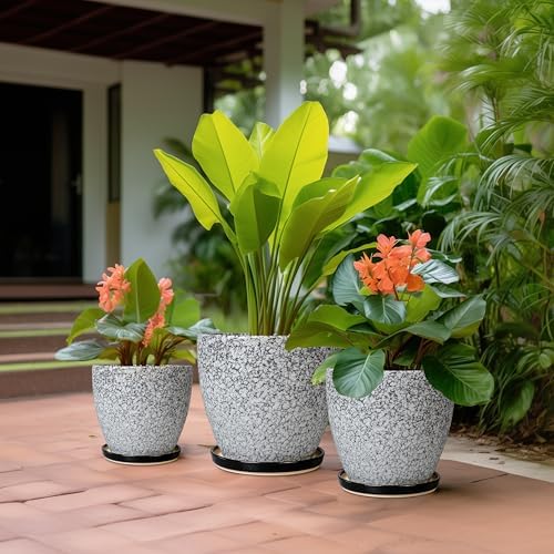 Ceramic Pots for Plants - 10+8+6 Inch Round Flower Pots with Drainage Holes and Saucers, Decorative Planters for Indoor Outdoor, Porch Decor, Housewarming Gifts, Set of 3, White-Black - Image 5