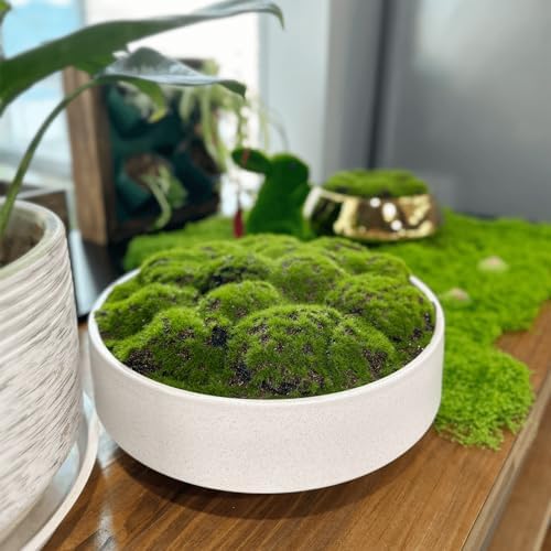 NAHARO New Moss Bowl, Handmade Ceramic Bowl. 11" Artificial Moss Centerpiece for Home Decoration, Living Room, Office - Image 2