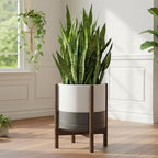D'vine Dev Ceramic Pot with Walnut Wood Stand, White/Grey, 14 in, 55-B-T-6 - Image 2
