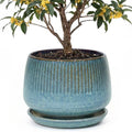 10.3 Inch Ceramic Planter with Saucer,Modern Garden Pots with Drainage Hole Mesh Net, for Indoor Outdoor Use(Crackle Blue) by Unknown