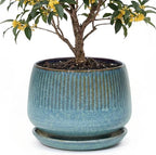 10.3 Inch Ceramic Planter with Saucer,Modern Garden Pots with Drainage Hole Mesh Net, for Indoor Outdoor Use(Crackle Blue) by Unknown