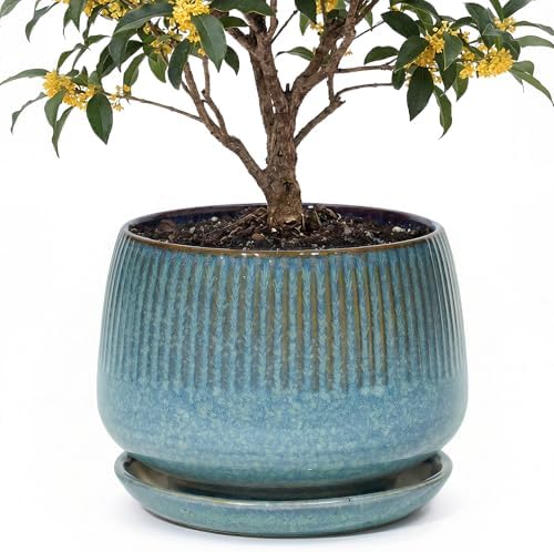 10.3 Inch Ceramic Planter with Saucer,Modern Garden Pots with Drainage Hole Mesh Net, for Indoor Outdoor Use(Crackle Blue) by Unknown