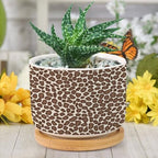 Leopard Brown Dot Planters Ceramic African Tribal Animal Print Round Flower Pot with Drainage Holes and Bamboo Tray Pot for Succulents Cactus Garden Windowsill - Image 6