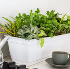 The HC Companies ECW30000A10 Indoor Outdoor 30 Inch Eclipse Series Window Flower Garden Ornamental Planter Box with Removable Attached Saucer, White - Image 4