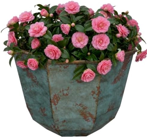 GROWSCAPE Shaina Resin Planter, Pottery Finish Garden Pot,15” Patina Copper by GROWSCAPE