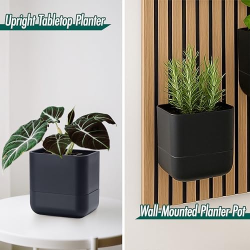 Phoenix Vine 6.5 Inch Wall Mounted Self-Watering Planter Pot for Indoor Houseplants and Herbs | Hanging Planter for Window Sills, Bathroom Walls, Home & Office Décor, Black, Set of 2, 01-C-E-2 - Image 2