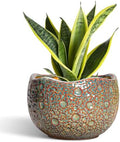 8 Inch Plant Pot - Ceramic Planter for Indoor Outdoor Plants, Unique Pots for Plants with Drainage Hole and Plug, Round Planter, Garden Decor, Gifts for Plant Lovers, Speckled-Brown by Thirtypot