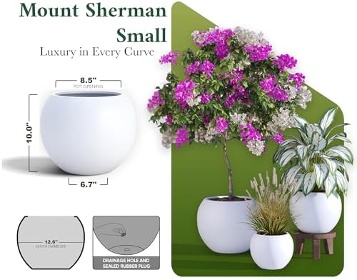 DTY Fiberstone Sphere Planter for Olive Trees, Globe Round Pot for Indoor Outdoor Use, Lightweight with Drainage Hole, 2 Coco Mats Included, White, Small 12.6" D x 10" H - Image 3