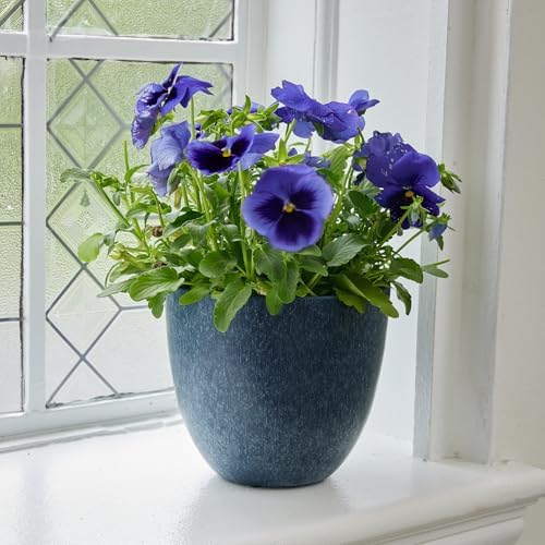 Root & Vessel Bola Round Planter, Self-Watering Outdoor & Indoor Planters, Shimmery Metallic Finish, Eco-Friendly Organic Fiber & Plastic Material, Navy Blue, 9" - Image 2