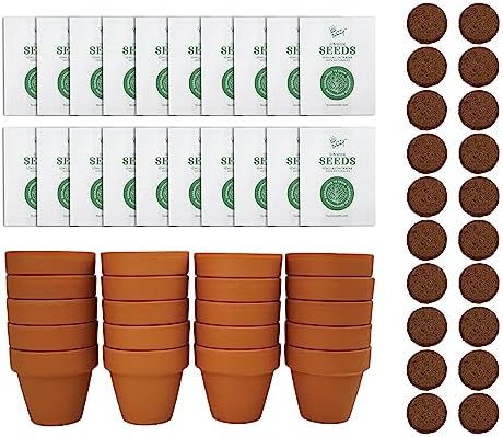 Buzzy Seeds Lavender Grow Kit 20-Pack, Mini Terracotta Pots, Bulk Favors by BUZZY