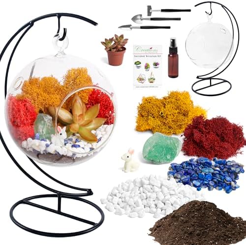 Creations by Nathalie - 5" Glass Globe Succulent Terrarium Kit, Hanging DIY Starter Kit for Kids and Adult, Metal Stand, Reindeer Moss, Crystal & Rocks, Tools, Figurine (Live Plant Included) - Image 2