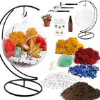Creations by Nathalie - 5" Glass Globe Succulent Terrarium Kit, Hanging DIY Starter Kit for Kids and Adult, Metal Stand, Reindeer Moss, Crystal & Rocks, Tools, Figurine (Live Plant Included) - Image 2