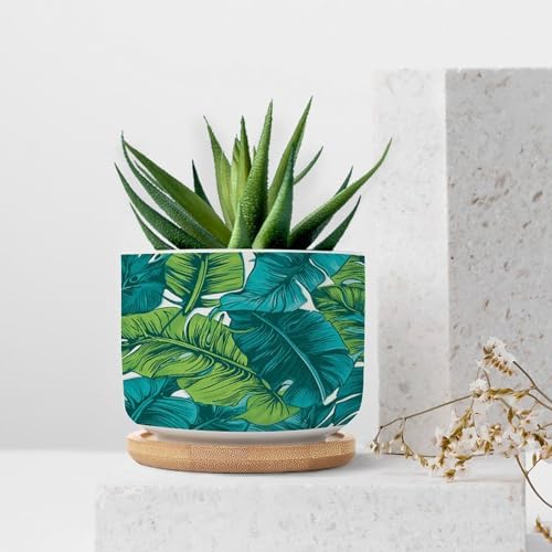 Turquoise Green Ceramic Planter Teal Blue Tropical Snake Plant Live Indoor with Pot with Drainage Holes and Saucers Pot for Home Office Decoration - Image 7