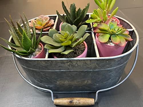 Hosley Galvanized Carry All Kitchen Utensil Caddy Serve Ware 13 Inch Long. Ideal for Floral Arrangements Party Garden Patio. O4 - Image 5