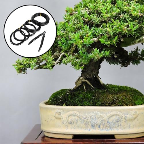 Healeved Anodized Aluminum Bonsai Wire Kit with Cutter, 4 Rolls (1mm, 1.5mm, 2mm) 10m Each, Plant Training Wire for Tree Branch Fixing and Bonsai Shaping Tools for Gardening - Image 4