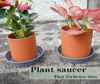 LWALRS Plant Saucer 14 Inch 4 Pack 6 8 10 12 14 16 18 20 25, Plastic Plant Trays for Pots，Extra-Deep Plant Water Dray Tray, Bird Bath Bowl, Heavy Flower Plant Saucers Indoors and Outdoor No Holes - Image 3