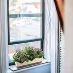 SUREAM Window Box Planter, 4 Pack 12x3.8 Inch/16x3.8 Inch Modern Succulent Pots, Plastic Rectangle Planters Containers with Saucer for Windowsill, Garden Balcony, Porch, Indoor Outdoor Decoration - Image 7