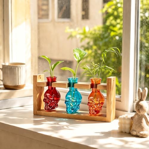 Plant Propagation Station with Skull Glass Vases, 3 Propagation Tubes in Wooden Stand, Hydroponic Decor for Home(Color4) - Image 5