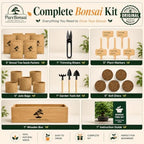 Bonsai Tree Starter Kit for Beginners – Complete Indoor Growing Kit with 5 Unique Japanese Bonsai Tree Seeds Pots & Gardening Tools DIY Gift for Adults - Image 3