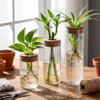 6 Sets Glass Plant Propagation Vases Cork Lid, 3 Size Desktop - Image 5