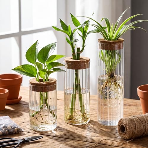 6 Sets Glass Plant Propagation Vases Cork Lid, 3 Size Desktop - Image 5