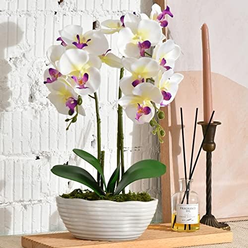 Large Artificial Orchid Arrangement in Oval Ribbed Ceramic Pot, White by YSZL
