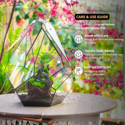 NCYP 16-Inch Closed Large Glass Terrarium with Door, Geometric Greenhouse - Image 3